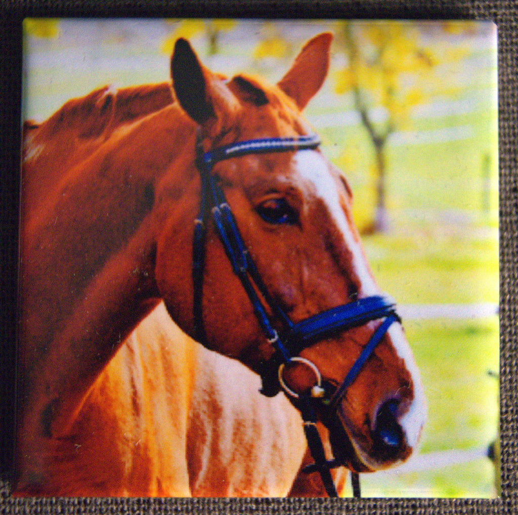 Ensemble de 4 aimants - Western
