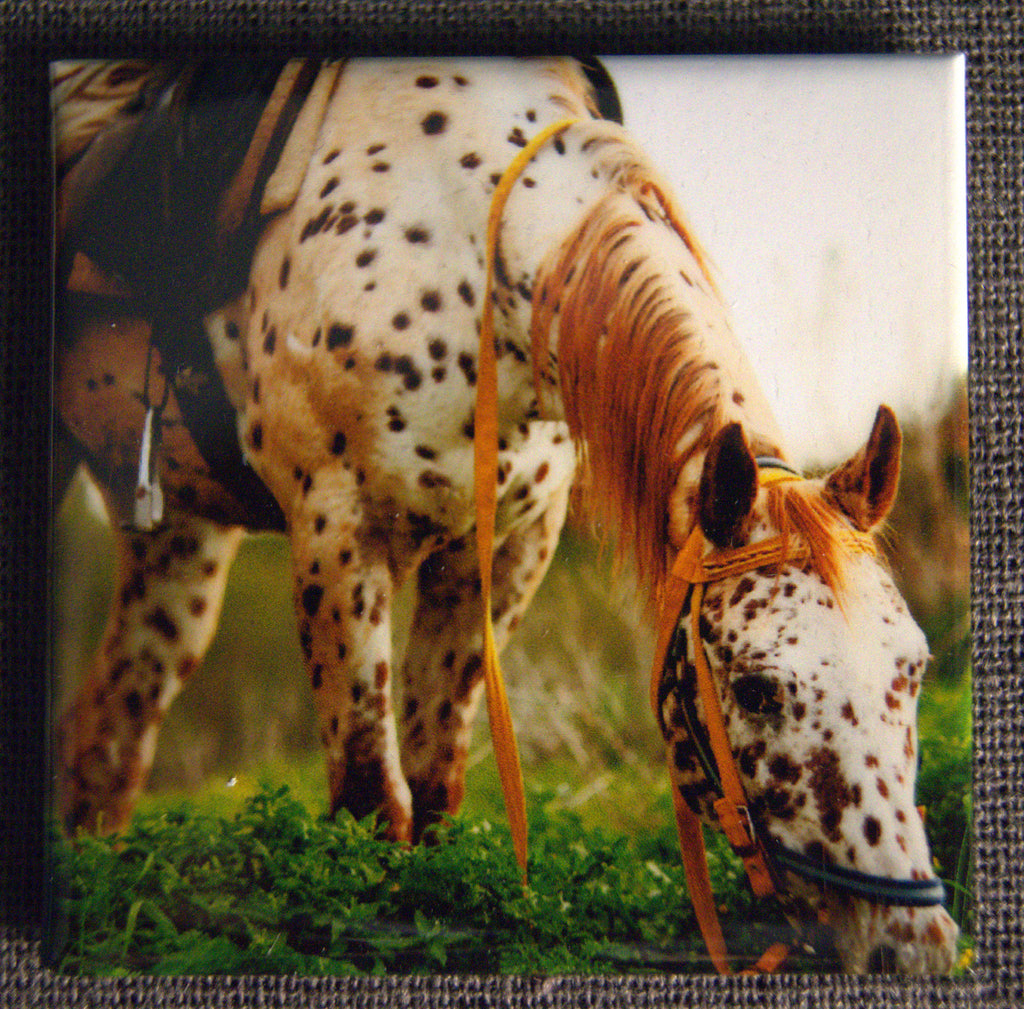 Ensemble de 4 aimants - Western