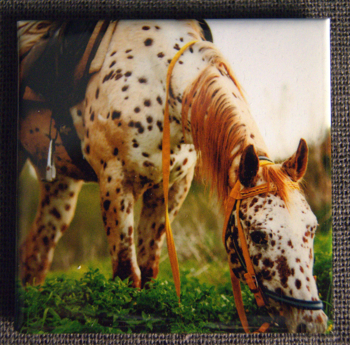 Ensemble de 4 aimants - Western