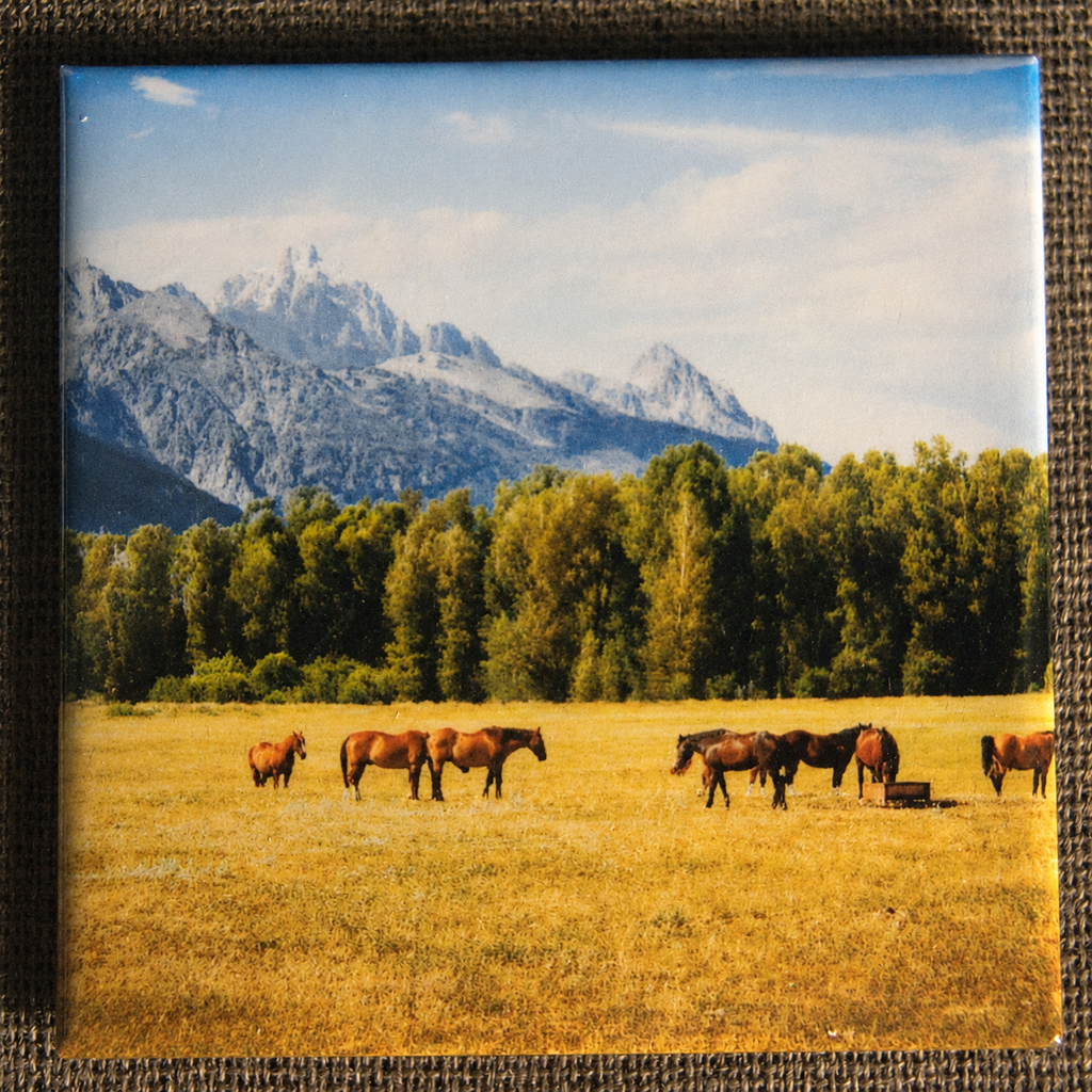 Ensemble de 4 aimants - Western